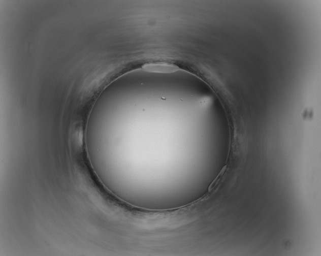 X0000111470021200907201148