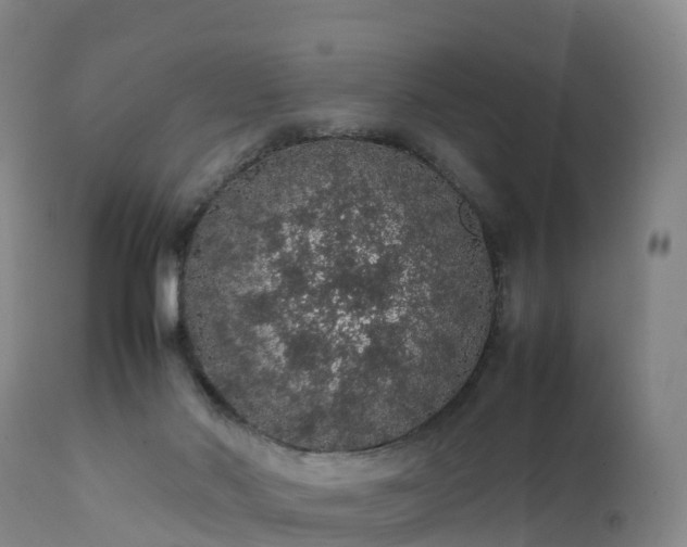 X0000111470022200907201148