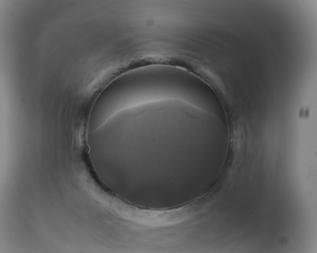 X0000111470023200907201148