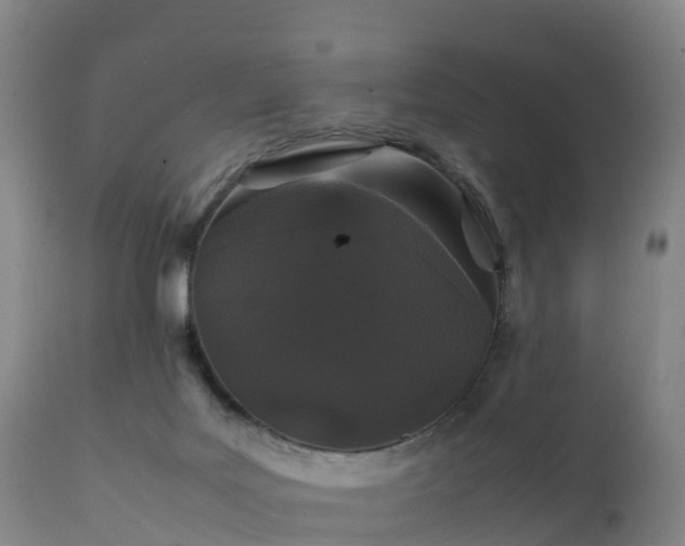 X0000111470027200907201148