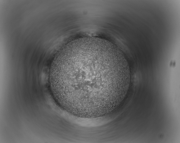 X0000111470030200907201147