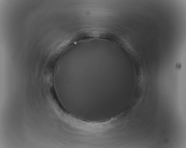 X0000111470031200907201147