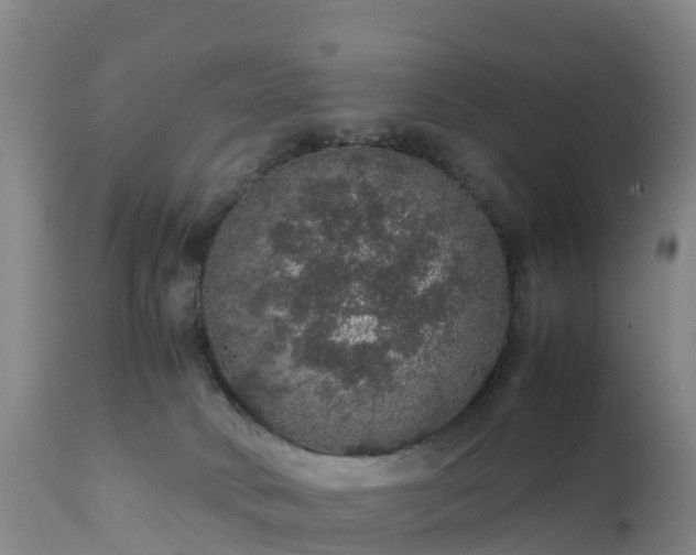 X0000111470034200907201147