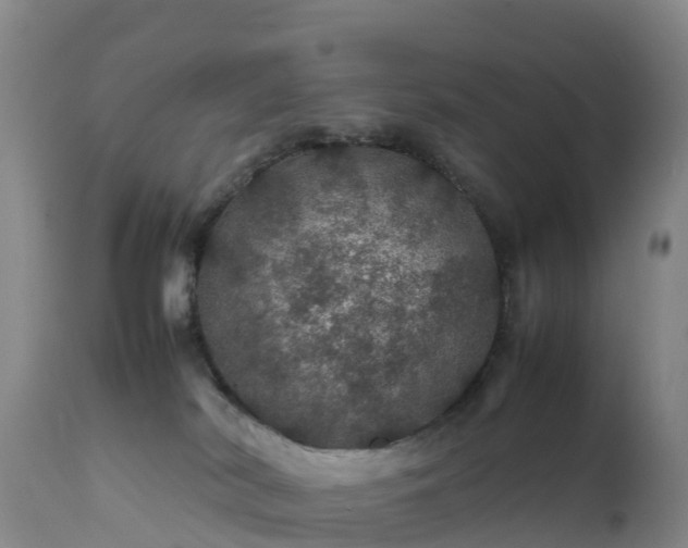 X0000111470038200907201147