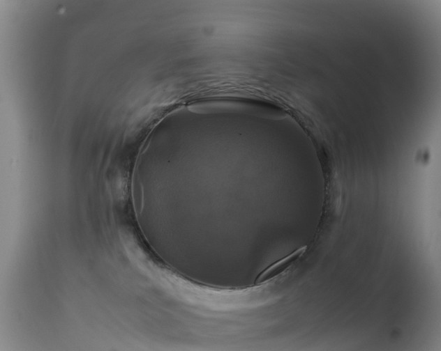 X0000111470039200907201147