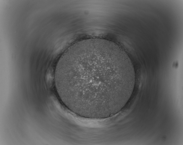 X0000111470040200907201147