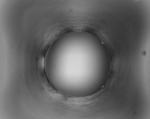 X0000111470041200907201147