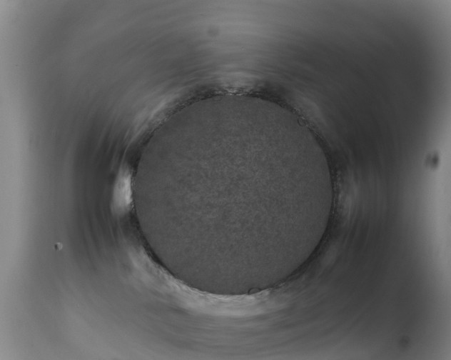 X0000111470042200907201147