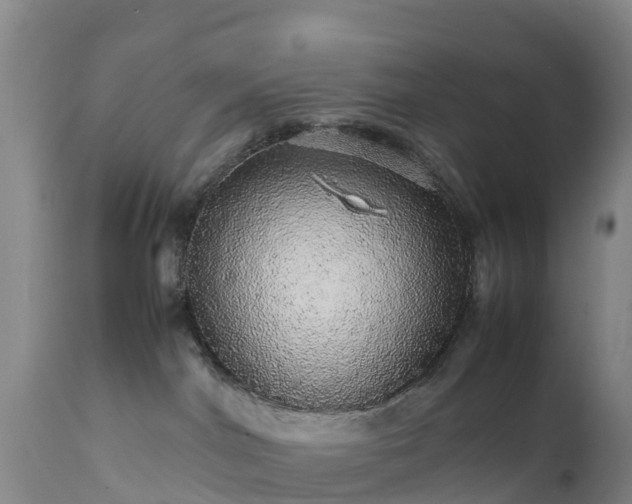 X0000111470044200907201147