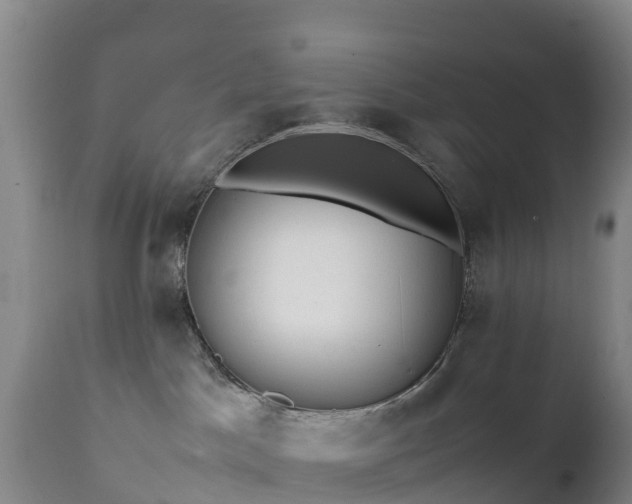 X0000111470045200907201147