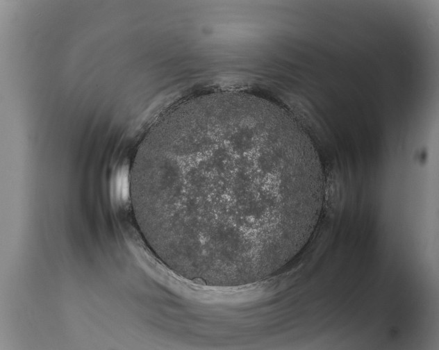 X0000111470046200907201147