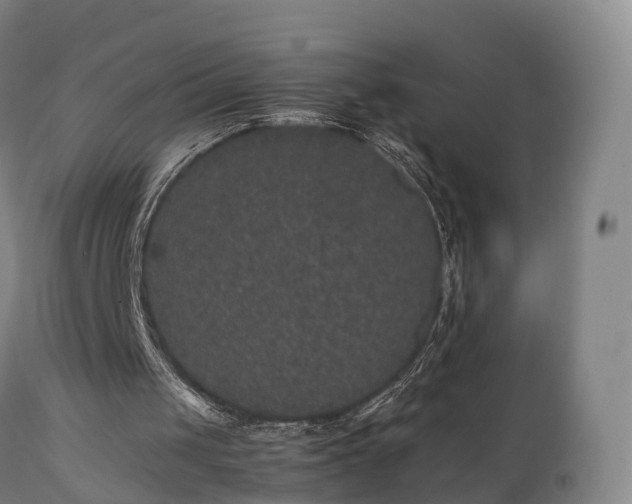 X0000111470049200907201146