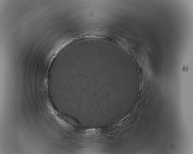 X0000111470050200907201146