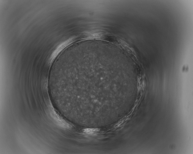 X0000111470051200907201146