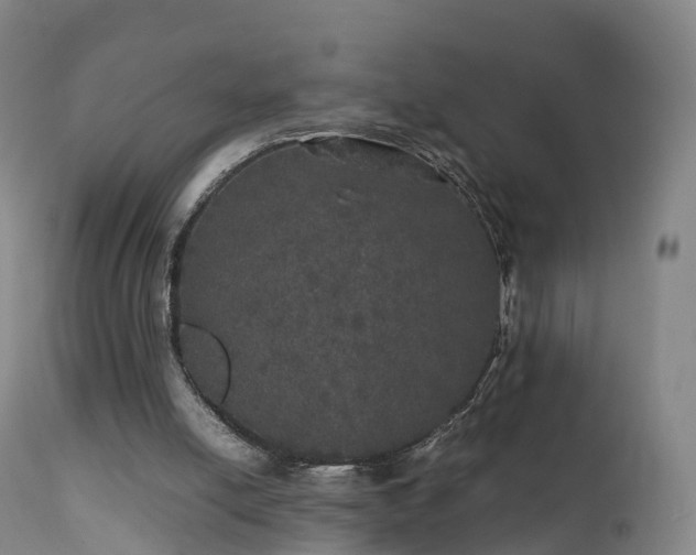 X0000111470054200907201146