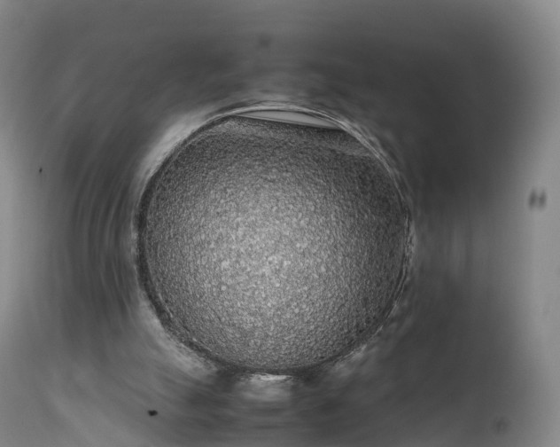 X0000111470055200907201146