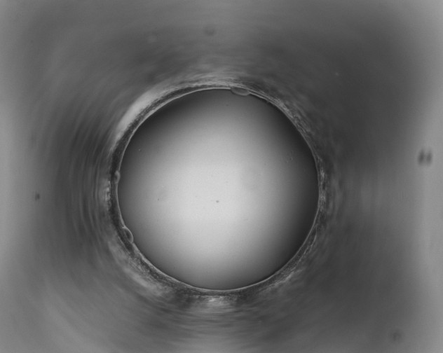 X0000111470056200907201147