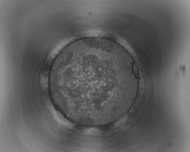 X0000111470058200907201147