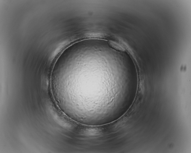 X0000111470059200907201147