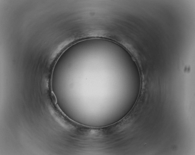 X0000111470060200907201147