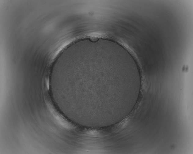 X0000111470062200907201147