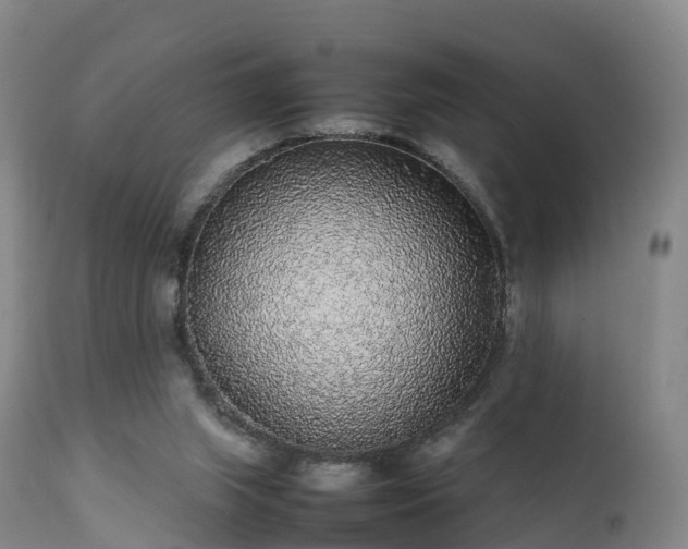 X0000111470063200907201147