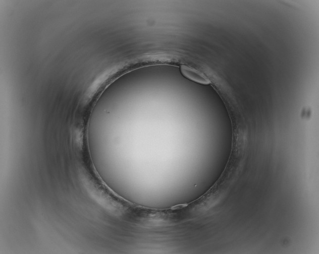 X0000111470064200907201147