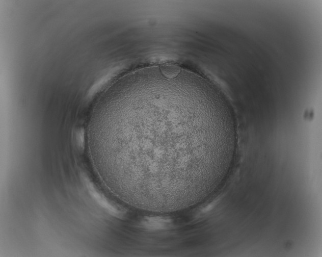 X0000111470067200907201147