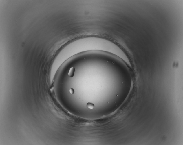 X0000111470068200907201147