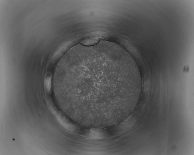 X0000111470070200907201147