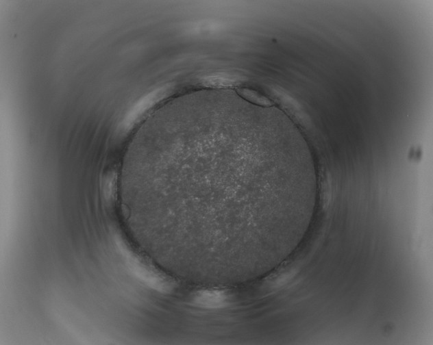 X0000111470071200907201147