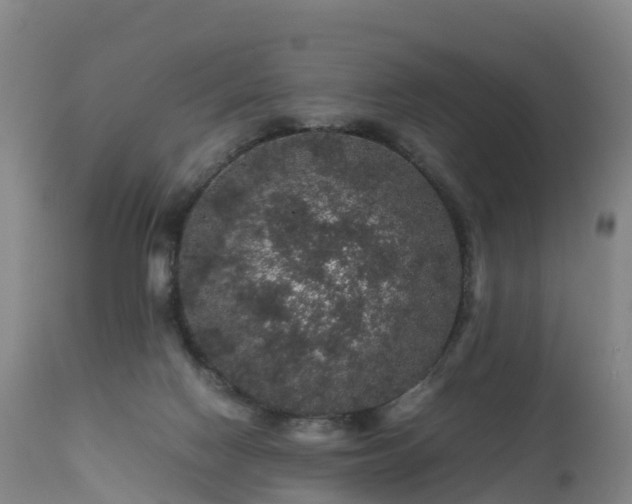 X0000111470074200907201147