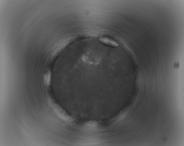 X0000111470076200907201147