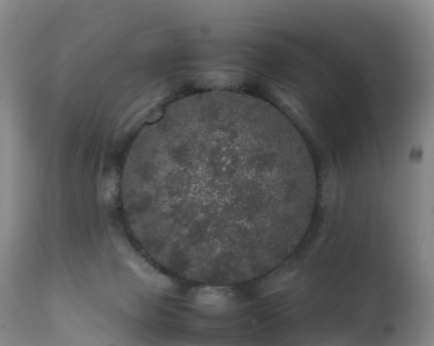 X0000111470077200907201147