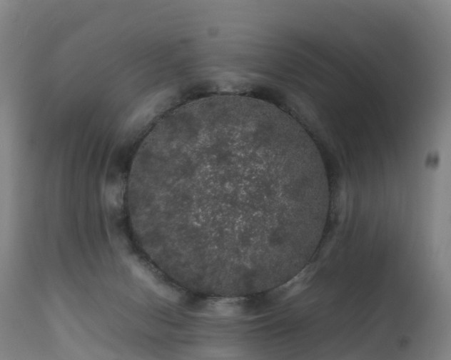 X0000111470078200907201147