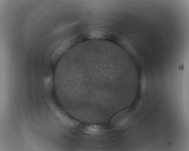 X0000111470079200907201147