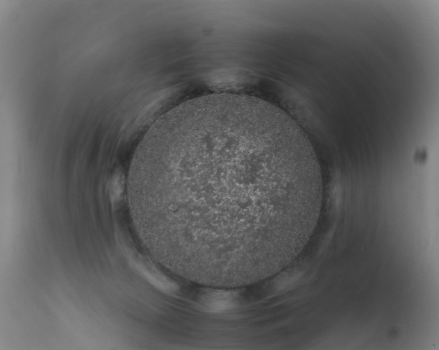 X0000111470081200907201147