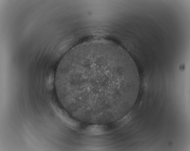 X0000111470082200907201147