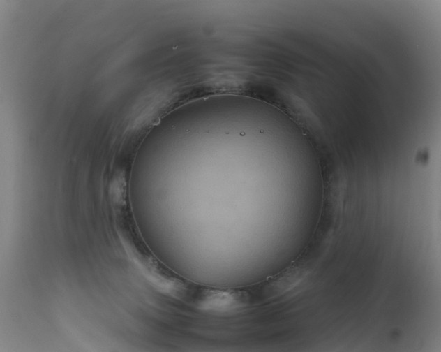 X0000111470083200907201147