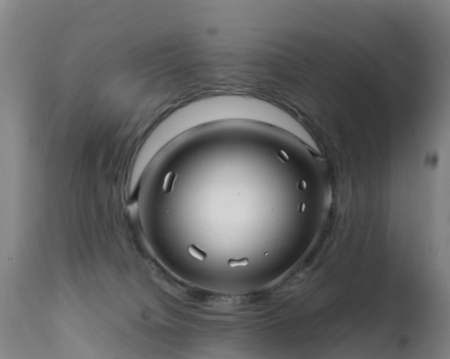 X0000111470084200907201147