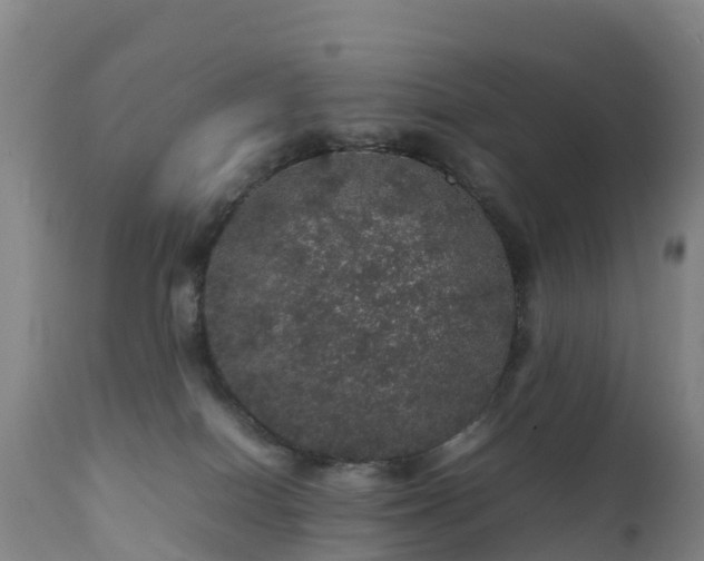 X0000111470086200907201147