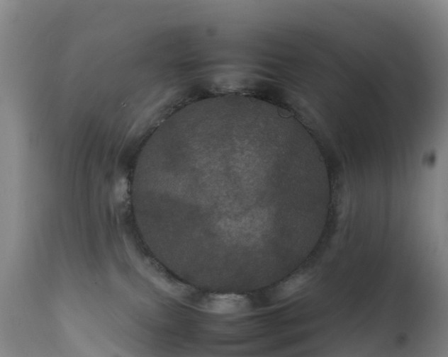 X0000111470087200907201147