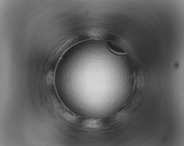 X0000111470093200907201147