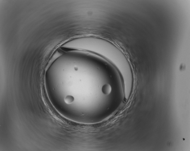 X0000111470097200907201146