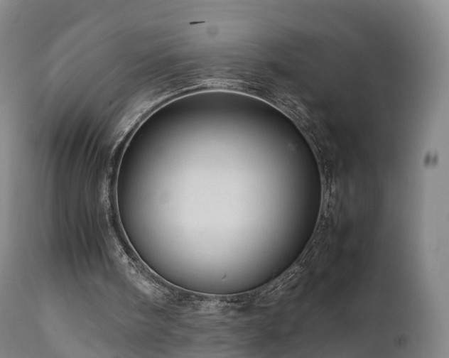 X0000111470098200907201146