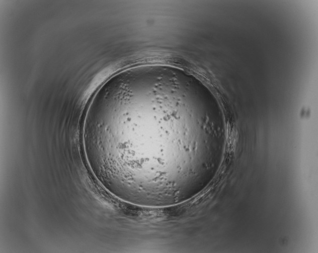 X0000111470099200907201146