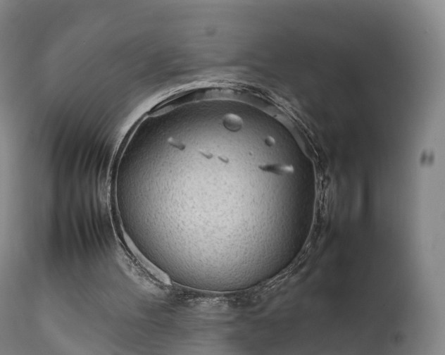 X0000111470100200907201146