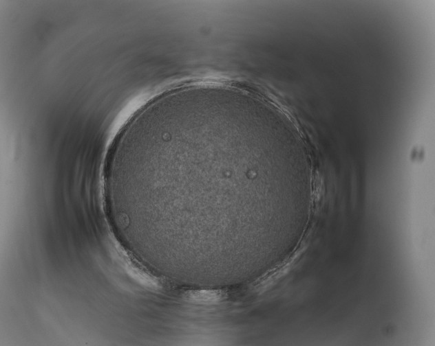 X0000111470102200907201146