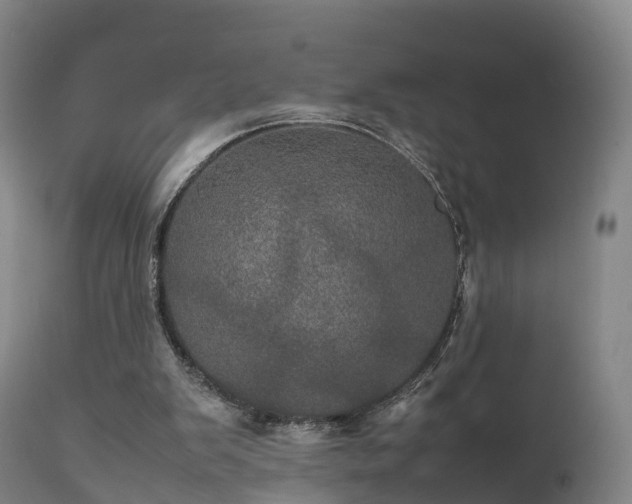 X0000111470103200907201146