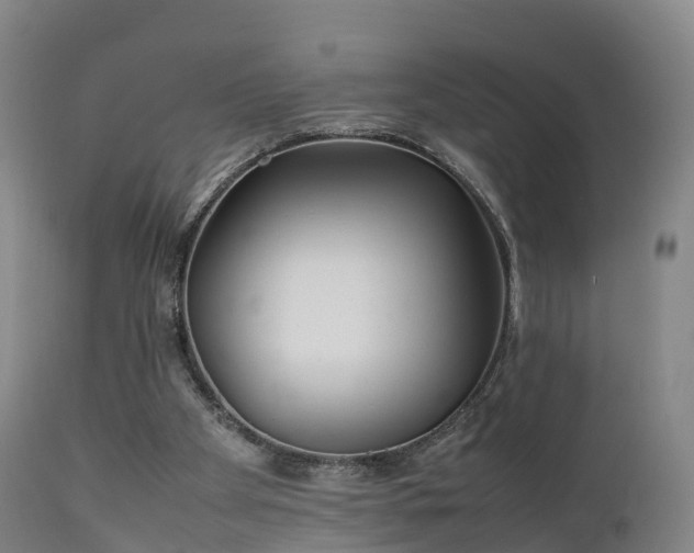 X0000111470105200907201146